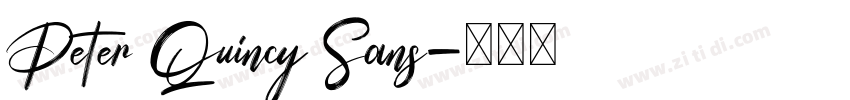 Peter Quincy Sans字体转换